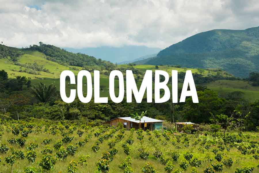 I progetti di fondazione lavazza in colombia