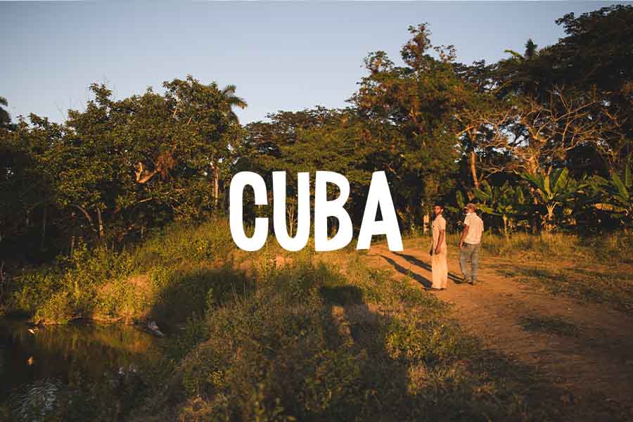 I progetti di fondazione lavazza in cuba