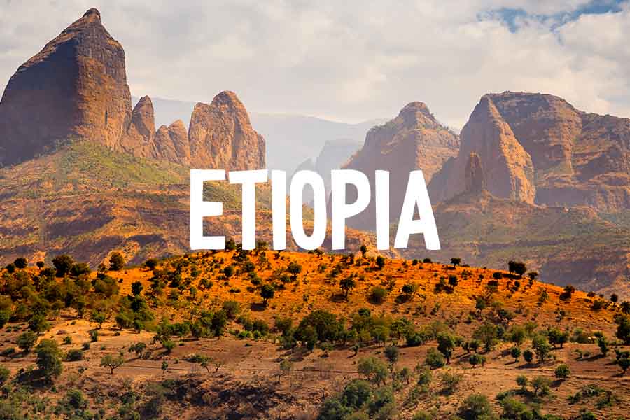 I progetti di fondazione lavazza in etiopia