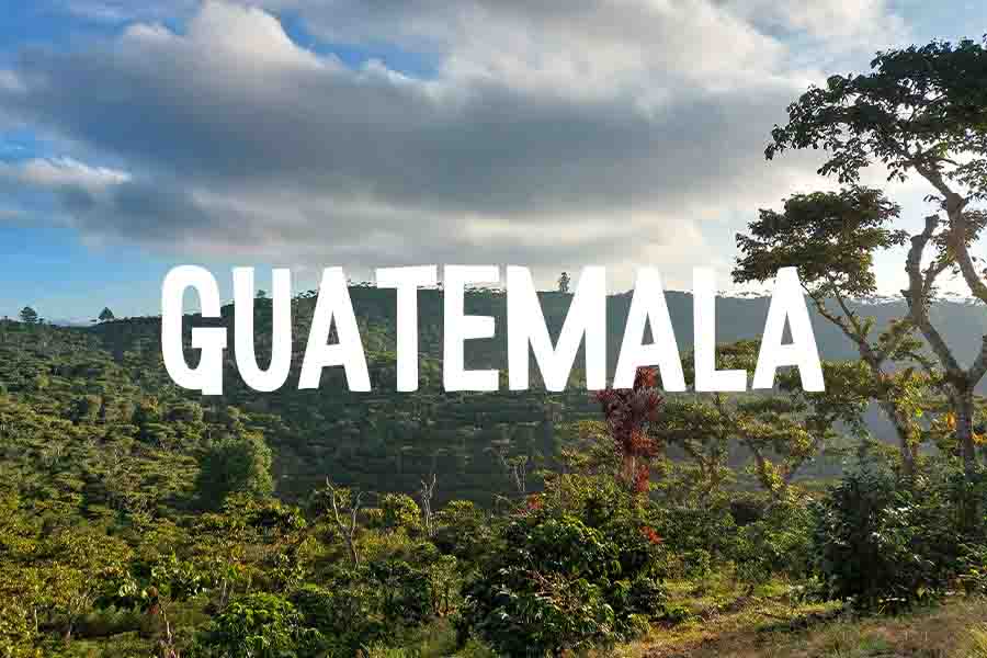 I progetti di fondazione lavazza in guatemala