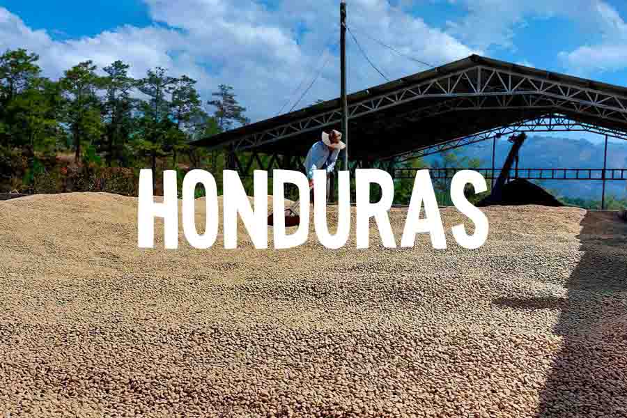 I progetti di fondazione lavazza in honduras