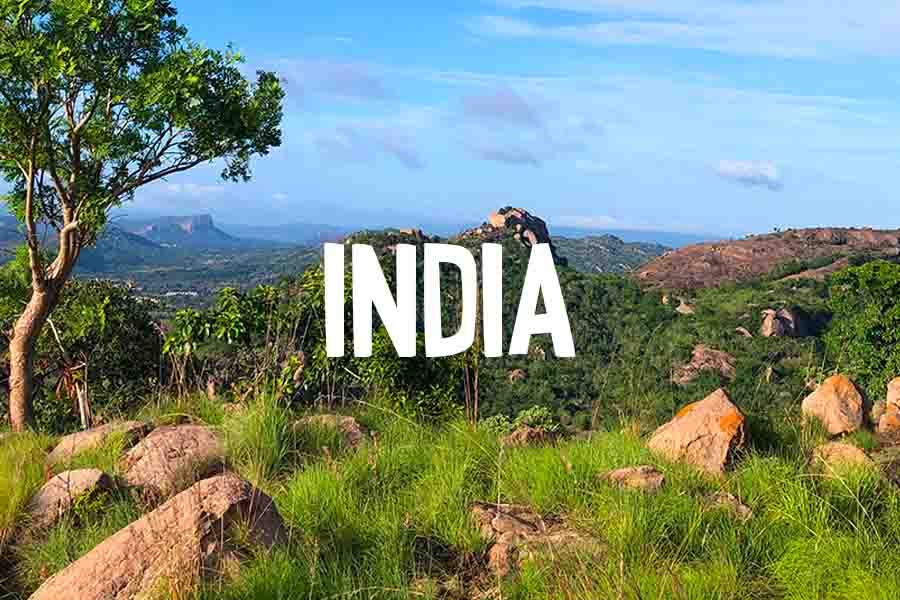 I progetti di fondazione lavazza in india