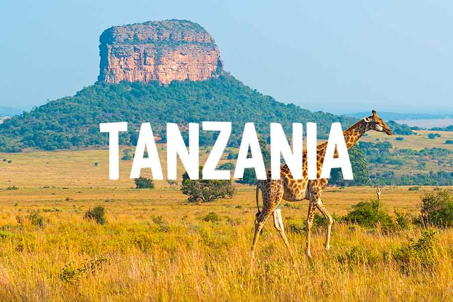 I progetti di fondazione lavazza in tanzania