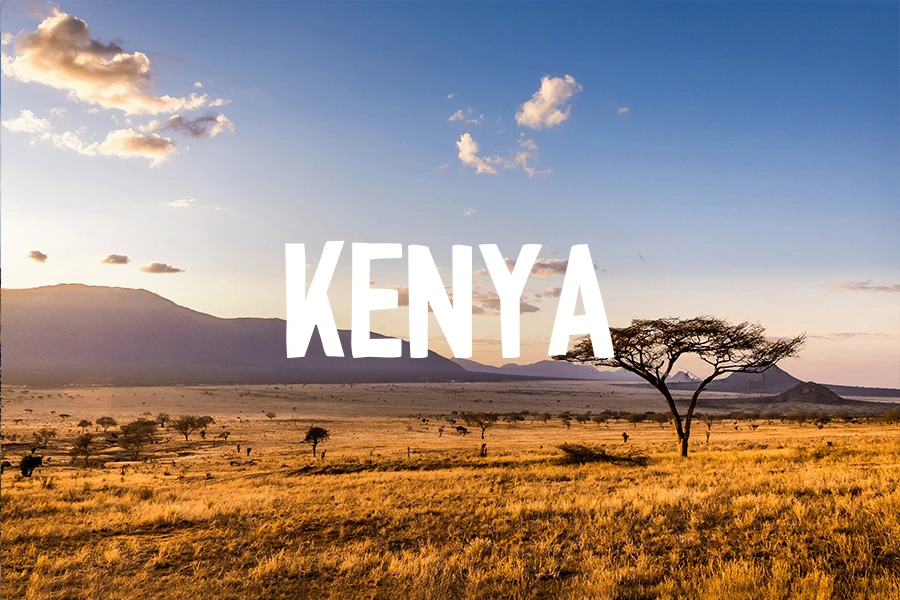 Panorama della savana in Kenya al tramonto, con albero tipico e scritta “KENYA” in grande al centro.