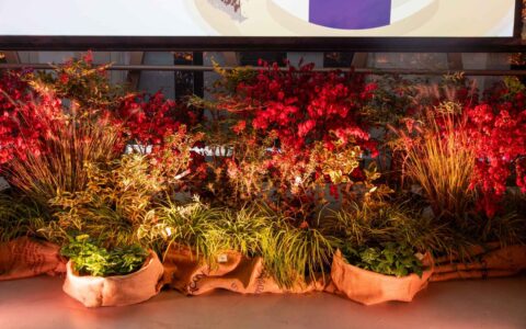 fondazione-lavazza-Giornata-Internazionale-del-Caffe-3