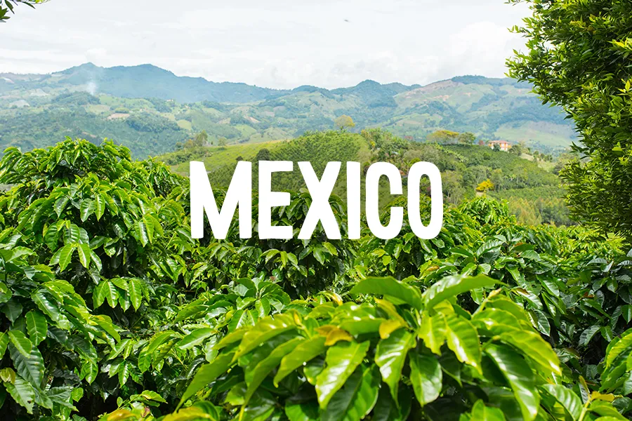foto messico con titolo mexico