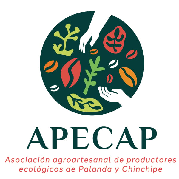 APECAP.jpg